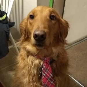 Meet your Posher, Patricia